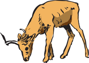 Antelope Eating Clip Art